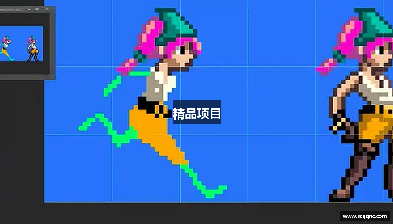 精品项目